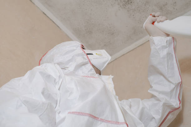 Best Commercial Mold Removal  in Ardmore, TN